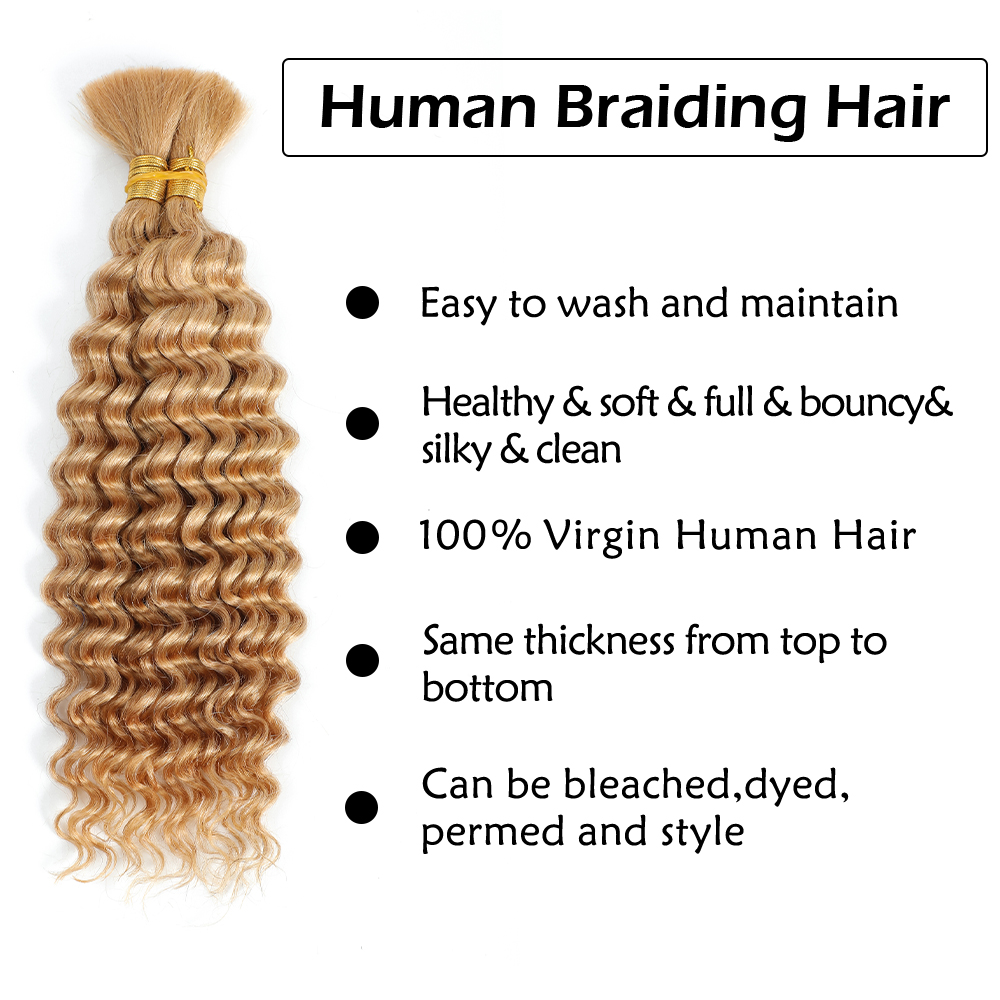 Human Braiding Hair 2Bundle 10 - Hair Care Color review and price